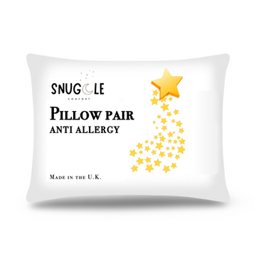Anti Allergy Hollowfibre Pillow Pair